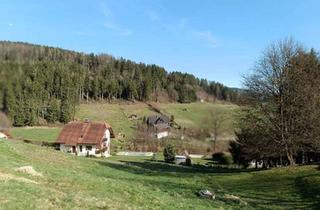 Grundstück zu kaufen in 8152 Voitsberg, Leistbares Baugrundstück in herrlicher, ruhiger-sonniger Lage!