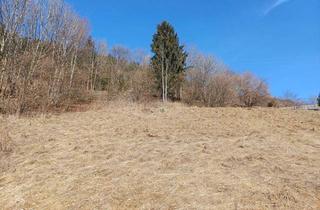 Grundstück zu kaufen in 9565 Ebene Reichenau, Baugrundstück 636 m² in Ebene Reichenau sofort verfügbar