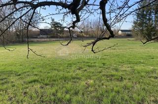 Grundstück zu kaufen in 2722 Winzendorf, Großzügiges Baugrundstück 2772m² am Römerweg