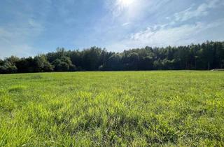Grundstück zu kaufen in 8181 Sankt Ruprecht an der Raab, Idyllische Grundstücke in ruhiger Ortsrandlage