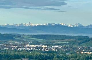 Grundstück zu kaufen in Bergsiedlung, 4221 Steyregg, Großes Grundstück in der Bergsiedlung- auch teilbar !!! Herrliche Aussicht