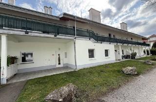 Wohnung mieten in 2483 Ebreichsdorf, TOPZUSTAND + gute RAUMEINTEILUNG + BÜRO & WOHNEN!