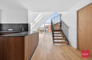 Maisonette kaufen in 1040 Wien, 4-Zimmer-Maisonette-Traumwohnung mit Kamin und Terrassen