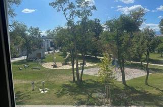 Wohnung kaufen in 2700 Wiener Neustadt, Sanierte 2-Zimmer-Wohnung mit 78 m² im 1. Liftstock – Wiener Neustadt