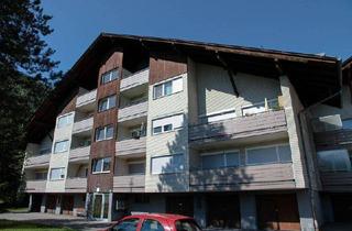 Wohnung mieten in Buseckerstraße 21, 4591 Molln, Mietwohnung in Molln