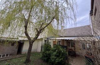 Einfamilienhaus kaufen in 7141 Podersdorf am See, Verborgene Oase im Herzen von Podersdorf – charmantes Haus mit Privatsphäre, Gartenidylle und großem Zukunftspotenzial