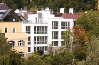 Wohnung mieten in Hintergasse 11/3, 3340 Waidhofen an der Ybbs, Betreutes Wohnen | Geförderte 2-Zimmer Mietwohnung | ca. 53 m² | Erdgeschoss