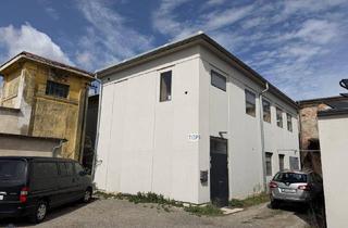 Lager kaufen in 2514 Traiskirchen, ECHTES LOFT (kein Fake!) + WERKSTATT + 2.100 m² EIGENGRUND