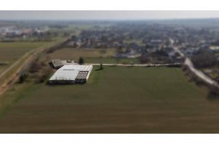 Gewerbeimmobilie kaufen in 2183 Neusiedl an der Zaya, GIGANTISCH gesucht? HIER RICHTIG