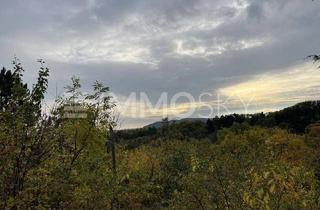 Grundstück zu kaufen in 2103 Langenzersdorf, Am Bisamberg!