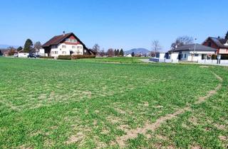 Doppelhaushälfte kaufen in Rüthenenstraße, 6812 Meiningen, Neubau Meiningen! Top-Preis - Kompakt - Massiv - HAUS 2