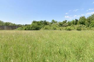 Grundstück zu kaufen in 4523 Neuzeug, Aufgeschlossenes 1.998 m² Baugrundstück in entspannter Siedlungslage!