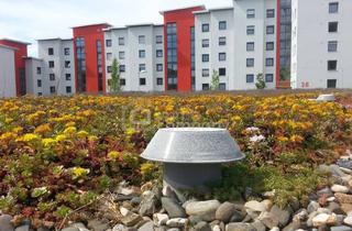 Anlageobjekt in 7400 Oberwart, Top Zinshaus in 7400 Oberwart - Mit Mega Rendite - Einfach anfragen