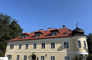 Wohnung kaufen in Bahnhof, 4072 Alkoven, 3-Zimmer Gartenwohnung in historischer Jahrhundertvilla, auch als Büro geeignet