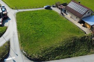 Grundstück zu kaufen in 6845 Hohenems, Baugrundstück in Hohenems – Ruhige Stadtrandlage mit Aussicht und bester Infrastruktur