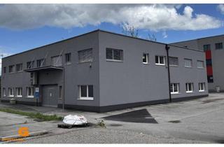 Büro zu mieten in 5071 Wals, Erstbezug nach Modernisierung - Büro/Lagerkombi in Wals-Siezenheim mieten