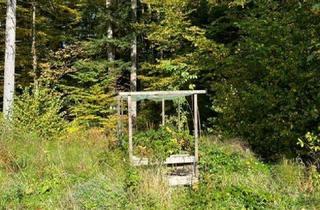 Grundstück zu kaufen in 5321 Koppl, K3 - Auf diesem Baugrund in Koppl könnte bald Ihr neues Eigenheim stehen! Stadtnahes Naturparadies!