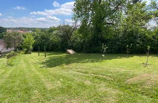 Bauernhäuser zu kaufen in 2251 Ebenthal, Leben im Grünen: Nachhaltige Liegenschaft mit Bauernhaus viel Land und Selbstversorger-Potenzial!