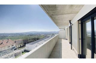 Wohnung kaufen in Bründlgraben 47A, 3500 Krems an der Donau, Stilvoll und nachhaltig: Neubau-Top-Wohnung mit moderner Ausstattung.