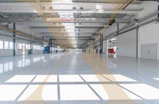 Büro zu mieten in 4614 Marchtrenk, Gewerbehalle - Neubau - mit Kränen und optimaler Verkehrsanbindung in Marchtrenk zu vermieten!