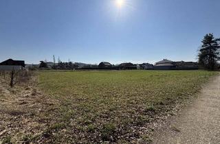 Grundstück zu kaufen in 3250 Mühling, Baugrundstück ohne Bauzwang in Mühling - ideal für Ihr Eigenheim!