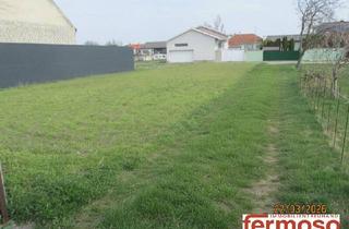 Grundstück zu kaufen in 7141 Podersdorf am See, Baugrund 725m² mit schönem Ausblick in 7141 Podersdorf am See – Ihr Traumgrundstück!