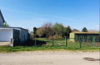 Grundstück zu kaufen in Gerichtswiese 45, 7122 Gols, Großzügiges Grundstück in absoluter Ruhelage am Ortsrand von Gols, 1.080 m2, mit Brunnen, Baumbestand und Gartenhütte