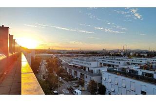 Maisonette kaufen in 1110 Wien, Sonnenbaden am privaten Dachgarten - Provisionsfrei!