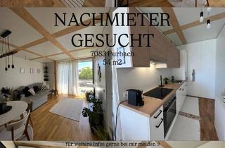 Wohnung mieten in Feuerwehrgasse, 7083 Purbach am Neusiedler See, Nachmieter in 7083 Purbach gesucht