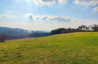 Grundstück zu kaufen in 7551 Stegersbach, Stegersbach: 34.358 m² Grundstück mit Bauland, Wiesen, Acker und Wald.