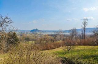 Grundstück zu kaufen in 7540 Güssing, 31.117 m² Grundstück mit Bestandshaus und großzügigen Naturflächen in Güssing.