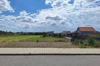 Grundstück zu kaufen in 7083 Purbach am Neusiedler See, Verkauf Bauplatz (Provisionsfrei)