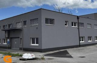 Lager mieten in 5071 Wals, Büro/Lagerkombi in Wals-Siezenheim Mieten