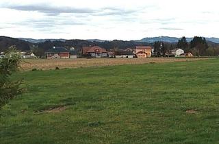 Grundstück zu kaufen in 8443 Gleinstätten, Zentral liegendes, ebenes, sonniges Grundstück in Gleinstätten