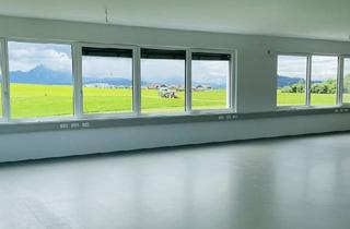 Büro zu mieten in 5300 Hallwang, Starterbüro - Blick ins Grüne - nahe Autobahnauffahrt Eugendorf