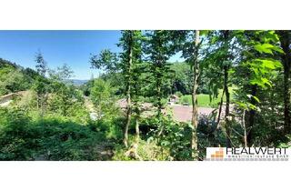 Grundstück zu kaufen in 5322 Hof bei Salzburg, Grundstück mit Potential und freiem Ausblick in Hof bei Salzburg