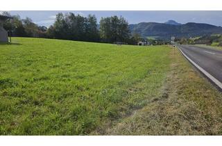 Grundstück zu kaufen in 4882 Oberwang, Tolles Gewerbegrundstück an der A1 zu verkaufen
