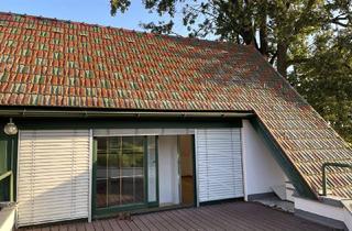 Büro zu mieten in Wippelsach 22, 8441 Fresing, Bürofläche inkl. Dachterrasse zu vermieten (provisionsfrei)