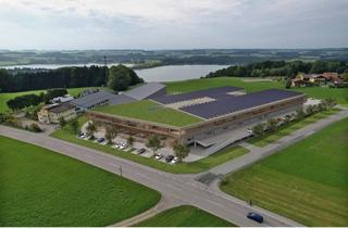 Gewerbeimmobilie mieten in Köstendorfer Landesstraße 7, 5163 Mattsee, Vermieten Produktionsflächen im GewerbePark Salzburger Seenregion