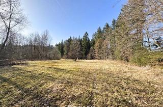 Immobilie kaufen in 5131 Holzöster, Grünland und Wald