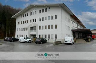 Gewerbeimmobilie mieten in 5101 Bergheim, Vermietung Lager- und Büroflächen in Bergheim
