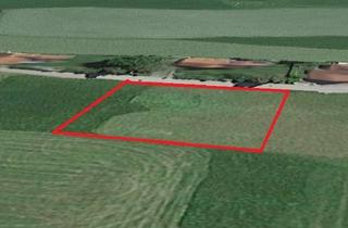 Grundstück zu kaufen in 5166 Perwang am Grabensee, 1000 m2 sonniger Baugrund Nähe Grabensee