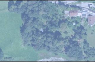Grundstück zu kaufen in 5730 Mittersill, Baugrundstück mit Altbestand samt Wald in Mittersill