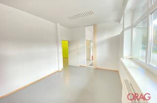 Büro zu mieten in 5300 Hallwang, Schönes Büro vor den Toren Salzburgs