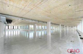 Büro zu mieten in 4020 Linz, HAFENPORTAL – Erstbezug-Büros in zukunftsweisender Projektentwicklung
