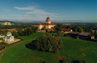 Wohnung kaufen in Platscherstraße, 8461 Ehrenhausen, Weinregion Südsteiermark: Renditestarke Wohnung mit Blick auf Schloss Ehrenhausen!