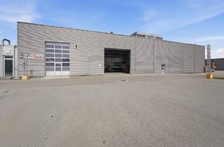 Büro zu mieten in 4310 Mauthausen, Produktionshalle/Warmhalle *die ersten 2 Monate kostenfrei mieten*