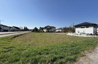 Grundstück zu kaufen in 3250 Mühling, Baugrundstück ohne Bauzwang in Mühling - vielfältige Bebauungsmöglichkeiten