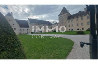 Immobilie mieten in 3131 Getzersdorf, GEWERBEMIETOBJEKT IM SCHLOSS