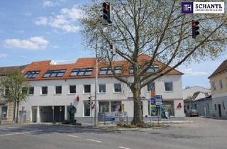 Wohnung kaufen in Doktor Karl Renner-Platz, 2514 Traiskirchen, *Frühjahrsaktion* Premium-Wohnen über den Dächern: Stilvolle Neubauwohnung mit Masterbedroom, Ankleide, Bad mit Fenster und großer Dachterrasse!